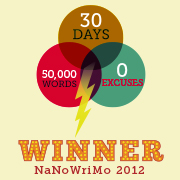 NaNoWriMo Winner!